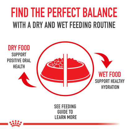 Indoor Adult Dry Cat Food